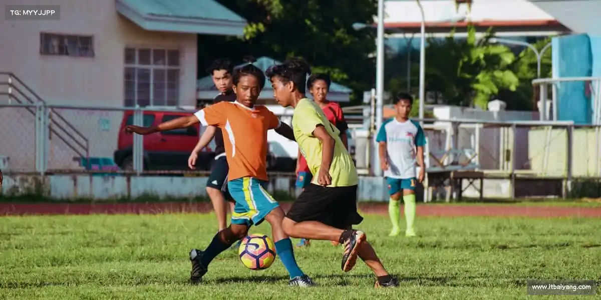 为什么选择我们